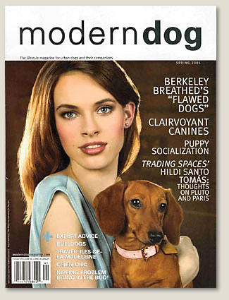 Modern Dog Cover